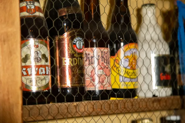 Botelas